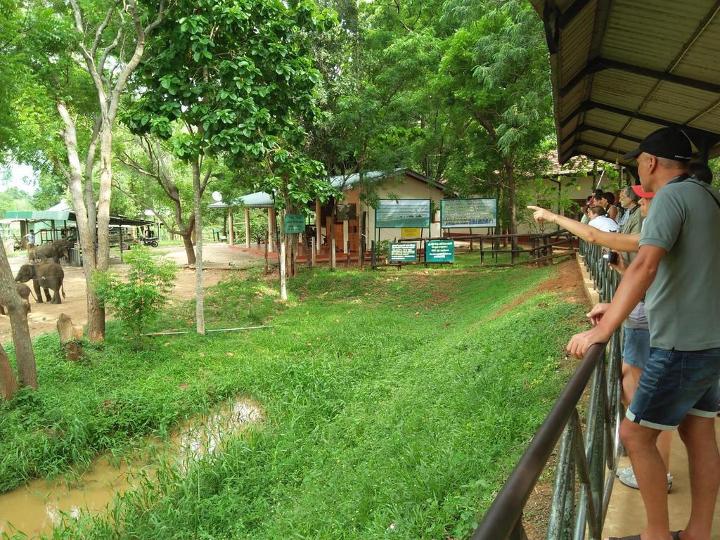 Brookline Safari Resort Udawalawe Exterior photo